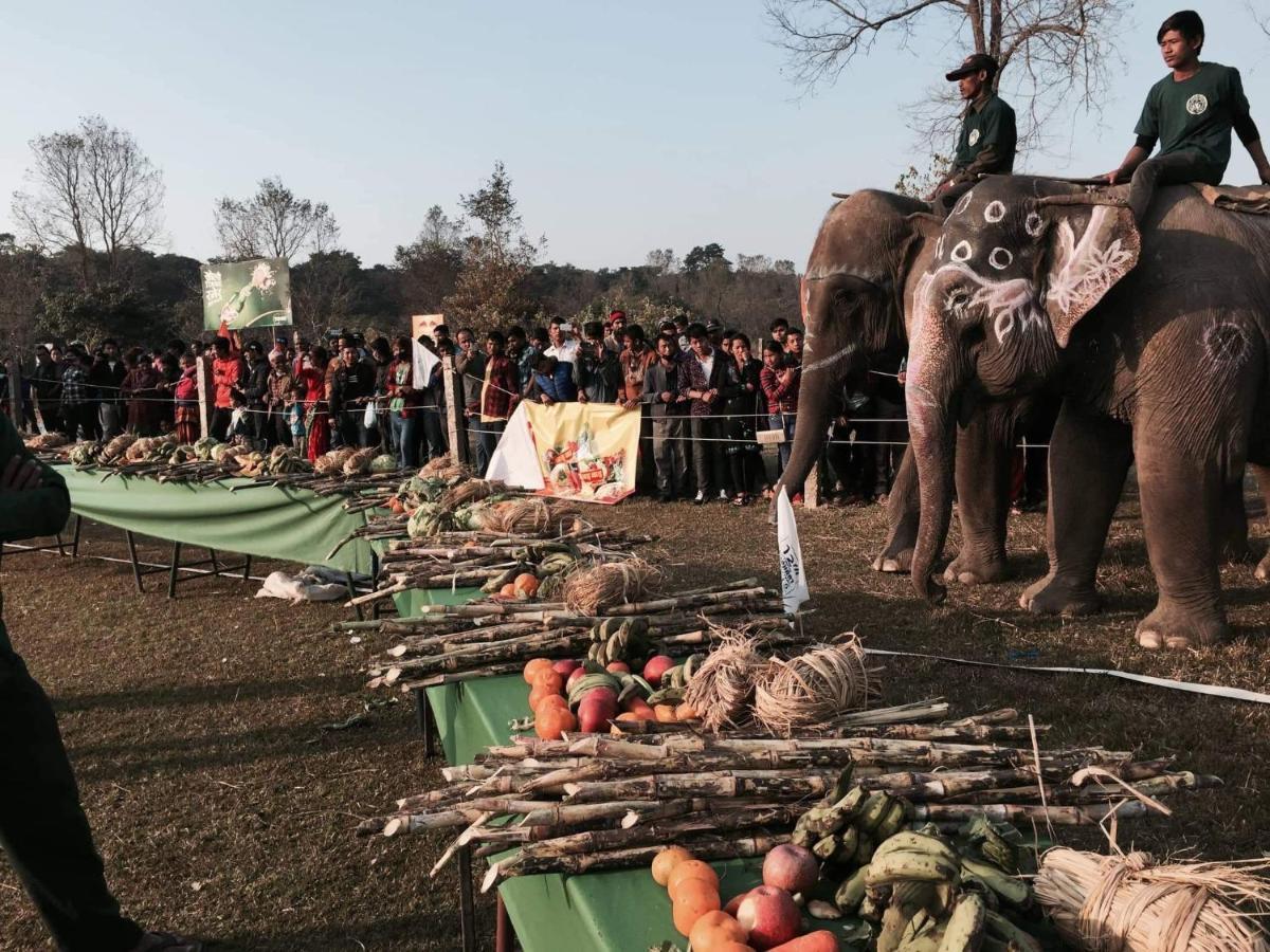 Hotel Chitwan Park Village โซราฮา ภายนอก รูปภาพ